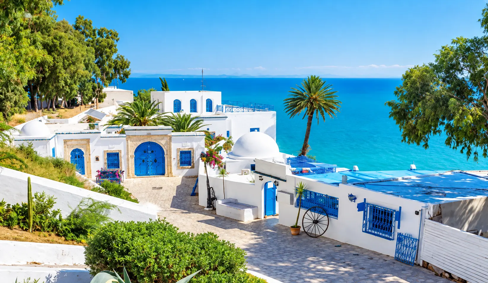 Vue sur le port de Sidi Bou Saïd